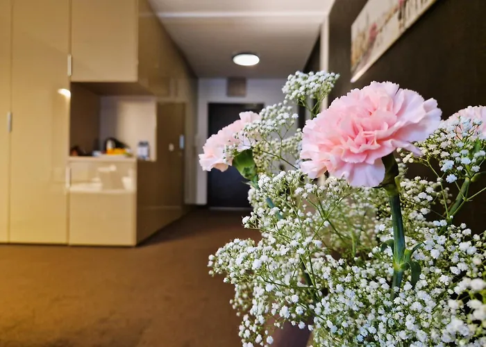 公寓式酒店 Platinum